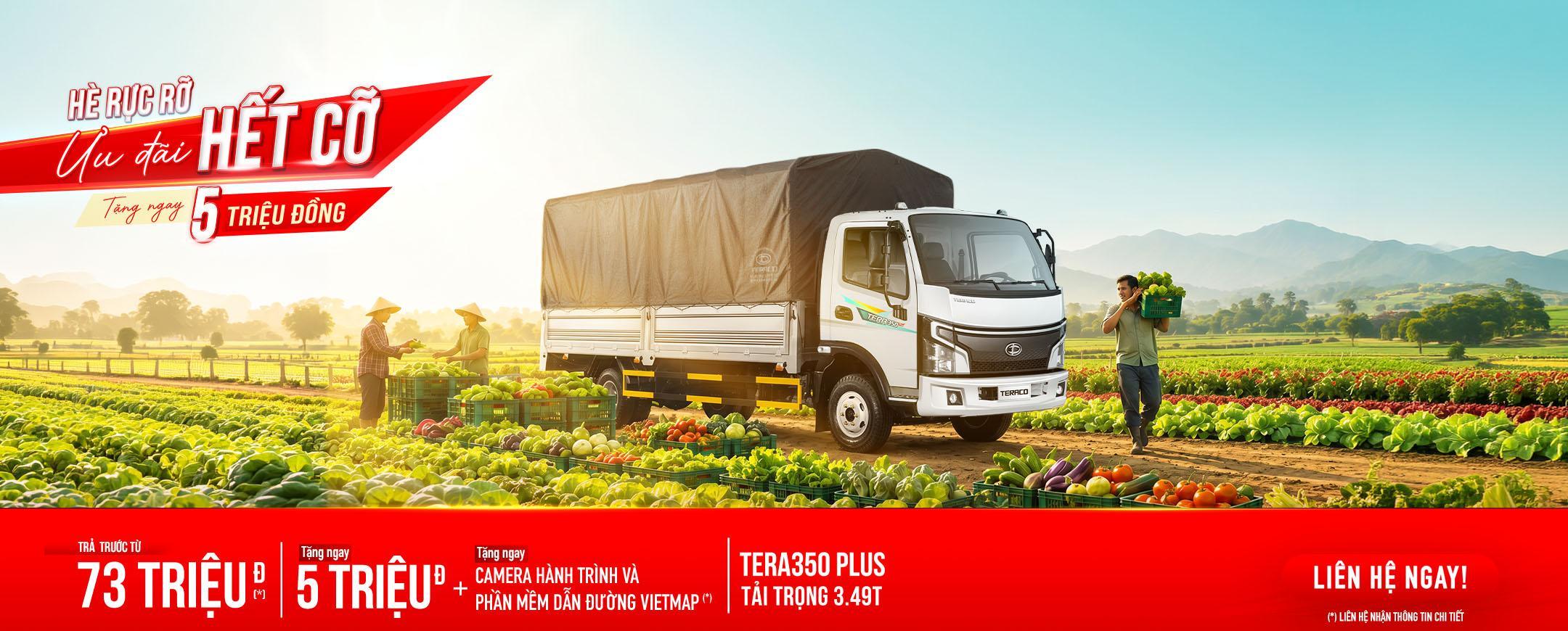 Tera350 Plus - pc